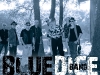Blue Dice Band